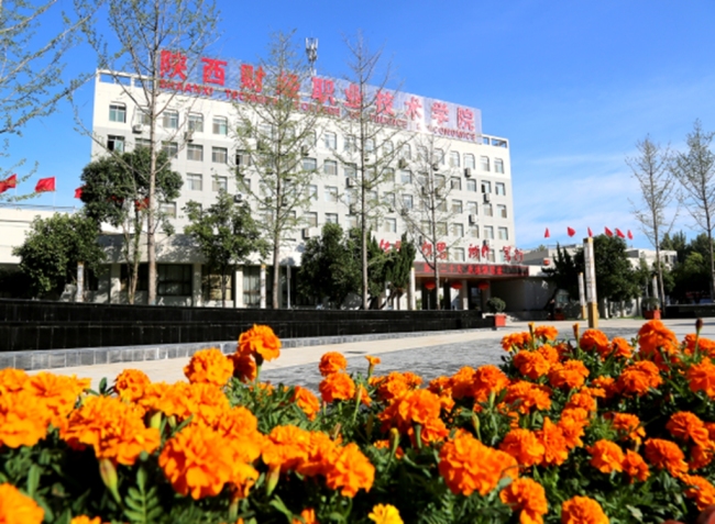 陕西财经职业技术学院:浸润式美育赋能高职育人 构建“美美与共”成长新生态 陕西财经职业技术学院:浸润式美育赋能高职育人 构建“美美与共”成长新生态
